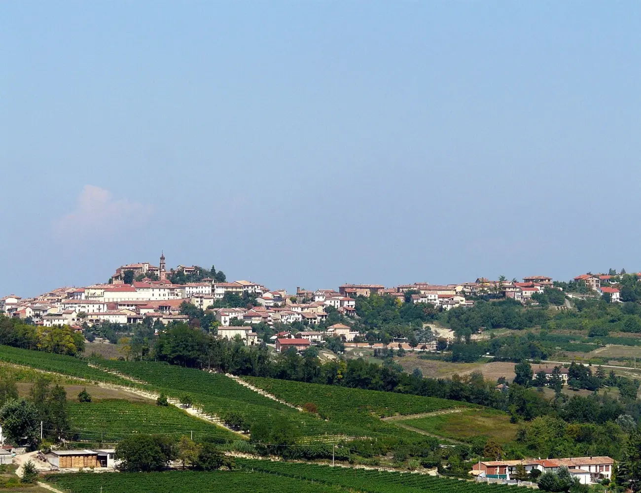Real countryside panorama of Frassinello Monferrato, Piemonte